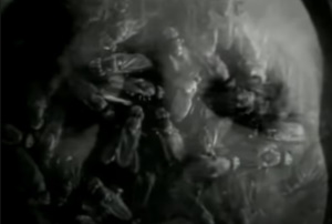 Manson's head with flies in Antichrist Superstar music video