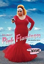 Pink Flamingos Movie Poster
